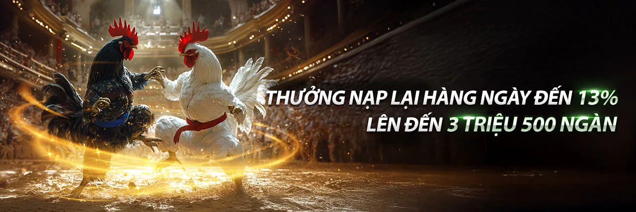 fh88 bet Chương trình VIP Độc quyền